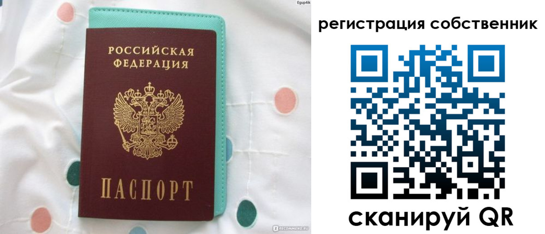 прописка для школы в Плавске